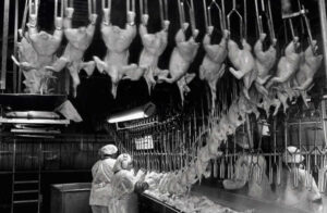 Workers in meatpacking and poultry processing plants need work-speed regulations to prevent crippling injuries on the job.