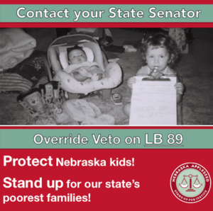 Shareable - Override LB89 Veto v2