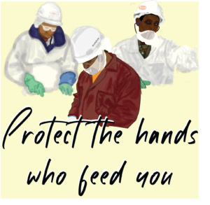 Protect the hands who feed you